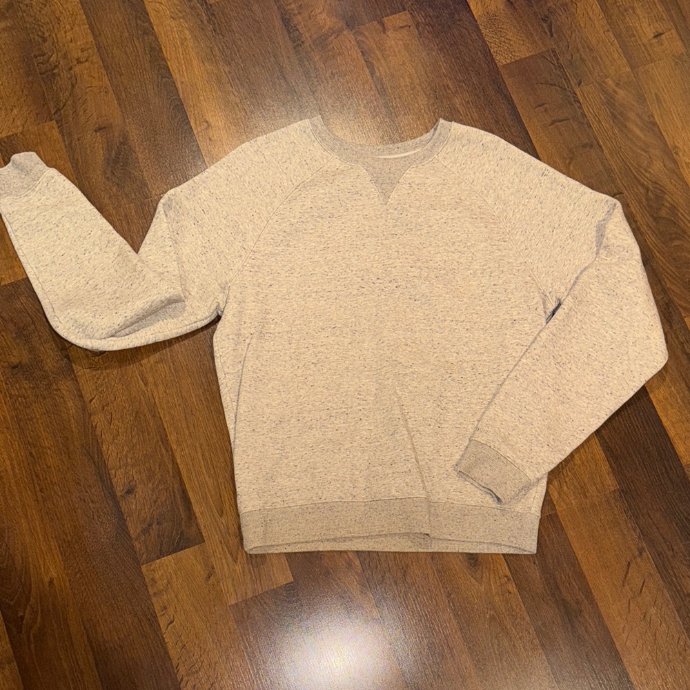 DSG Men's Beige crewneck Sweater (size SMALL)